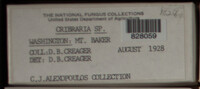 Image Associated With the Occurence